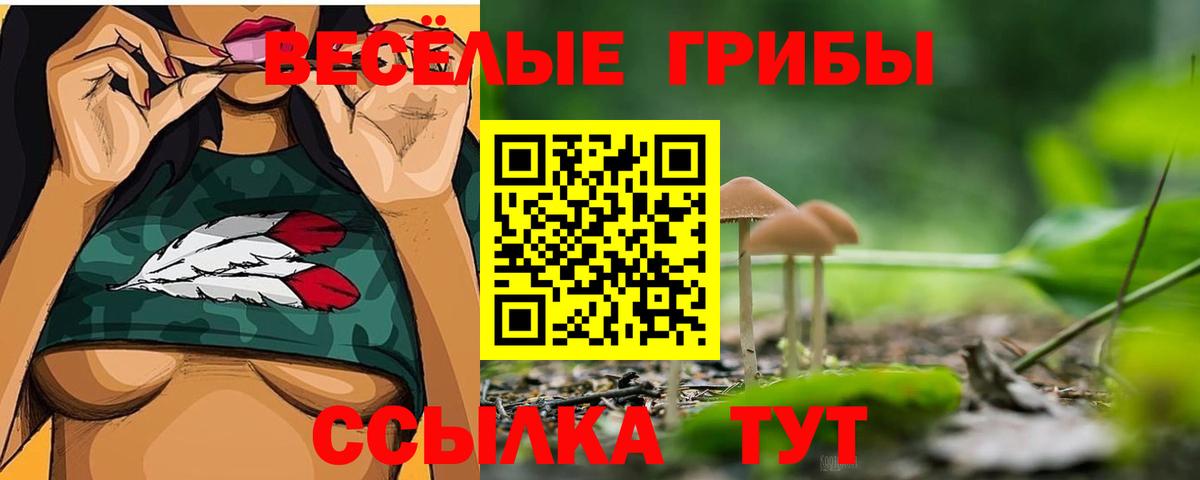 Псилоцибиновые грибы MAGIC MUSHROOMS  Галлюциногенные грибы ЛСД  Вход с VPN  Соликамск 